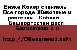 Вязка Кокер спаниель - Все города Животные и растения » Собаки   . Башкортостан респ.,Баймакский р-н